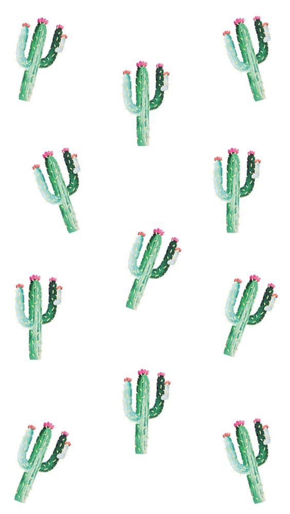 0334da3bcdf82d06ee7f51b42f1b20ff