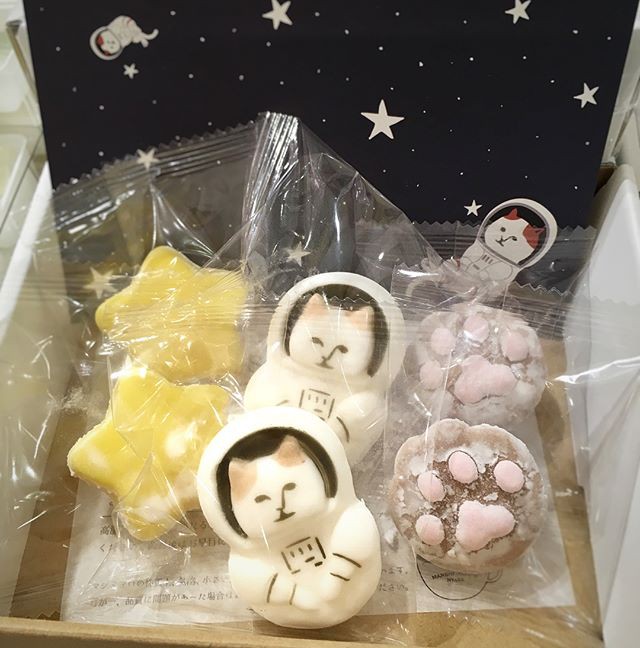 26868897_1595825317173596_3092727953243504640_n