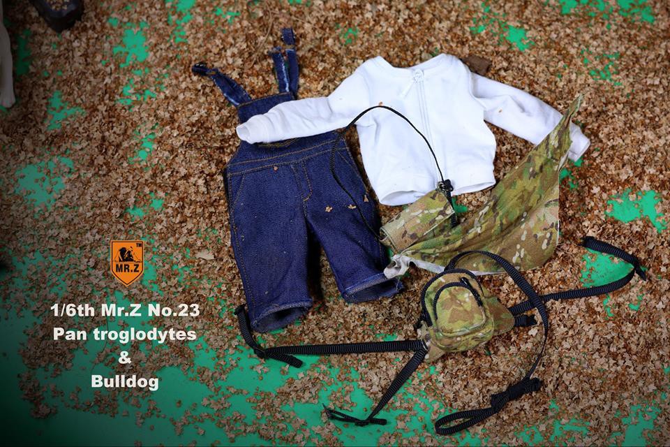 28277204_1590327144335916_6811748346622337232_n