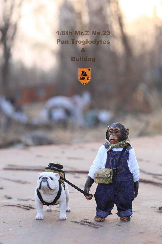 28378107_1590326911002606_7339714082428355098_n