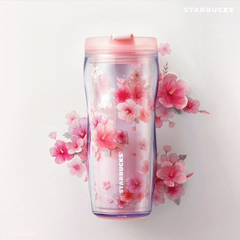 28379794_1541768779253681_8019946723089748635_n