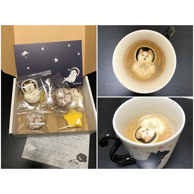 28428300_1726444750780510_4338540121470009344_n