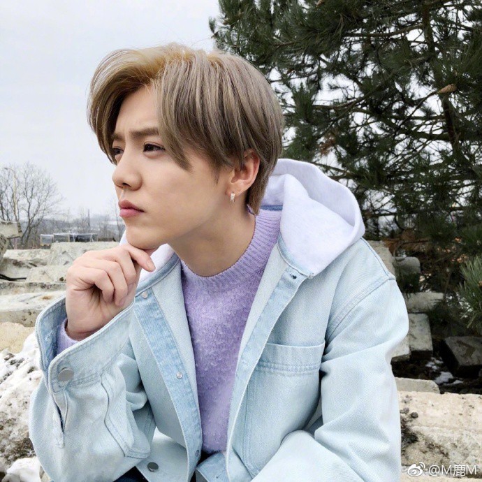 5ba8d1cbly1fp2dcd9r6nj20qo0qogtd