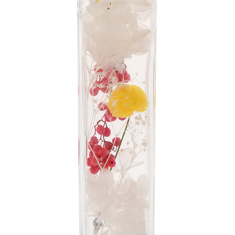 Q218_EC_HERBARIUM_PKC_PH_6