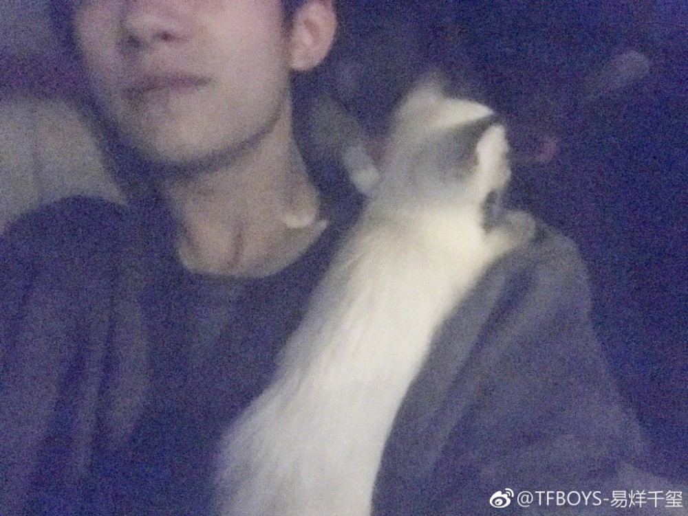 d7f7faddly1firm8xn4hpj22ds1sgx6p