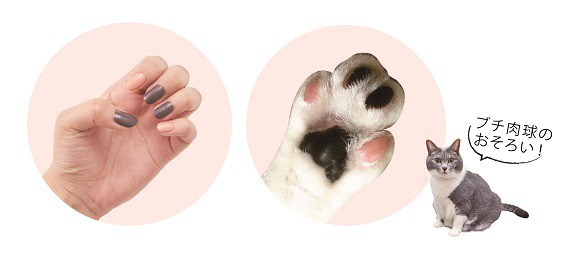 nikukyunail_osoroi_re