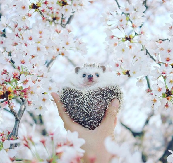 螢幕快照 2018-04-09 上午10.32.23