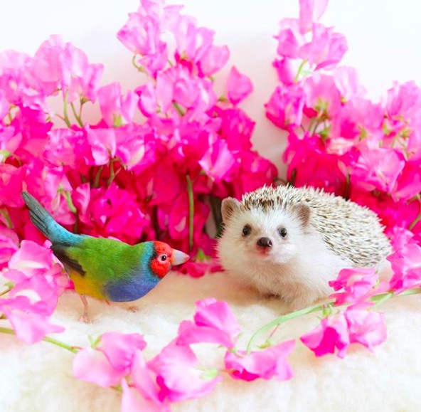 螢幕快照 2018-04-09 上午11.15.21