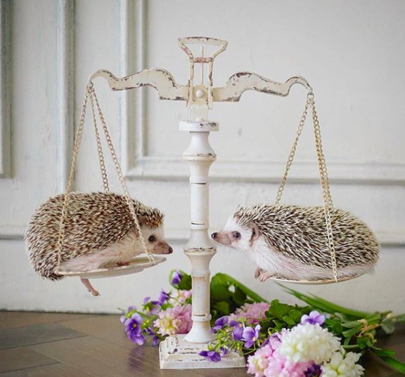 螢幕快照 2018-04-09 上午11.15.58