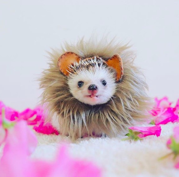 螢幕快照 2018-04-09 上午11.17.00