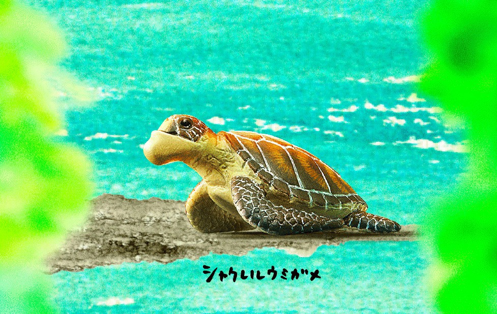 螢幕快照 2018-04-25 下午12.21.25