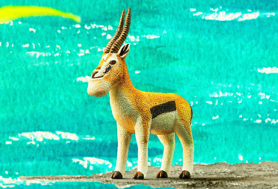 螢幕快照 2018-04-25 下午2.53.14