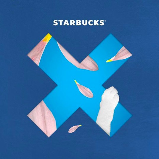 螢幕快照 2018-04-26 下午3.22.54