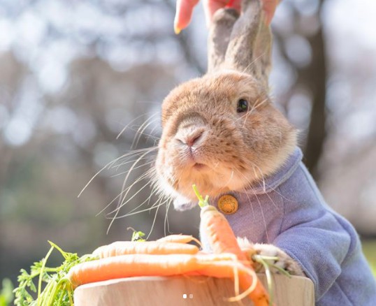 螢幕快照 2018-04-27 下午1.12.37