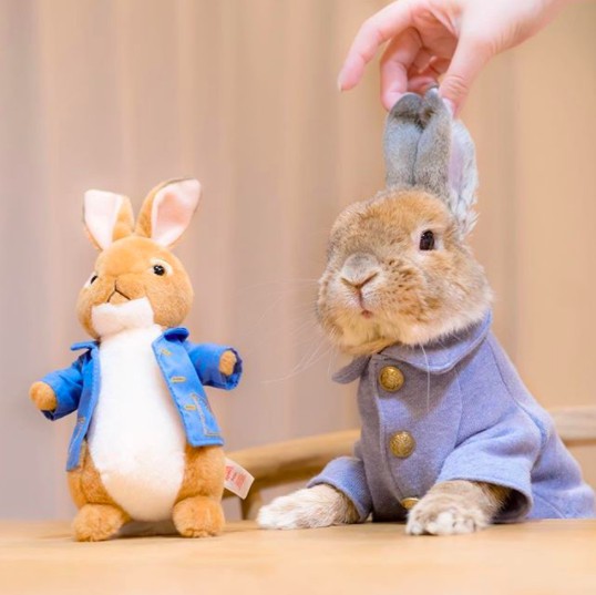 螢幕快照 2018-04-27 下午1.12.46