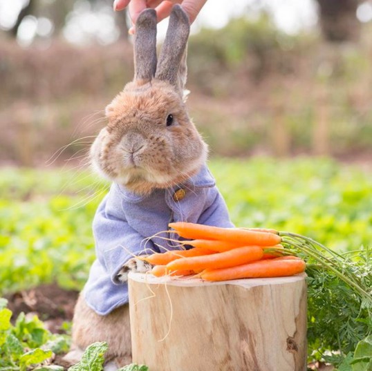 螢幕快照 2018-04-27 下午1.12.56