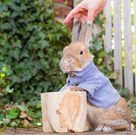 螢幕快照 2018-04-27 下午1.13.08