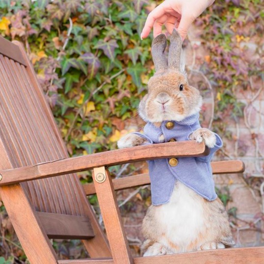 螢幕快照 2018-04-27 下午1.13.17