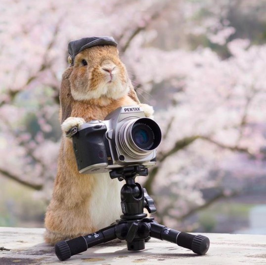 螢幕快照 2018-04-27 下午1.19.11