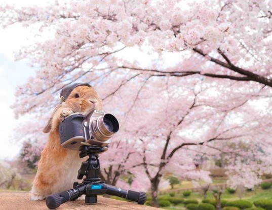 螢幕快照 2018-04-27 下午1.19.20