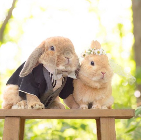 螢幕快照 2018-04-27 下午1.19.52