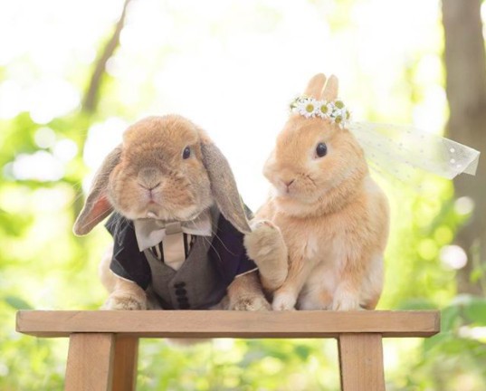 螢幕快照 2018-04-27 下午1.20.01