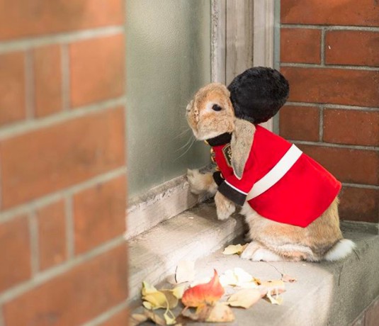 螢幕快照 2018-04-27 下午1.25.04