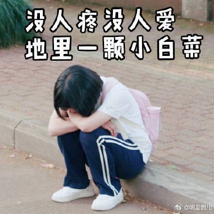 006dIpQkly1fquc40u93kj30dw0dwjs8