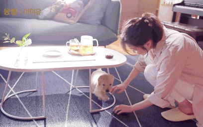 006dief7gy1fq22fk8gubg30bc0734qp