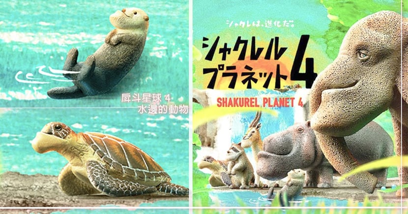 戽斗海龜毫不違和只是有點老派 戽斗星球第4彈 水邊的動物 5月上市 Girlstyle 台灣女生日常