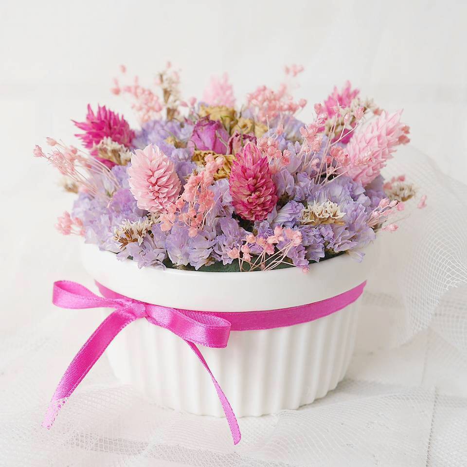 17155954_243883199354994_7966429405709764044_n