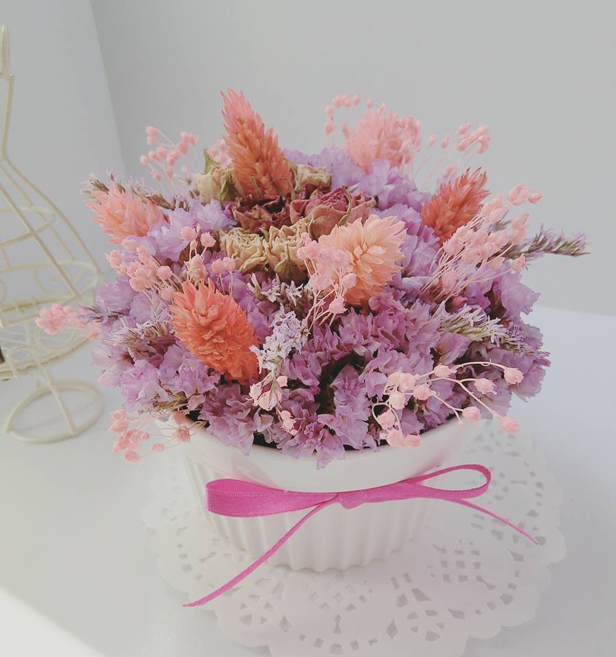 17155985_243884219354892_5070999021084601415_n