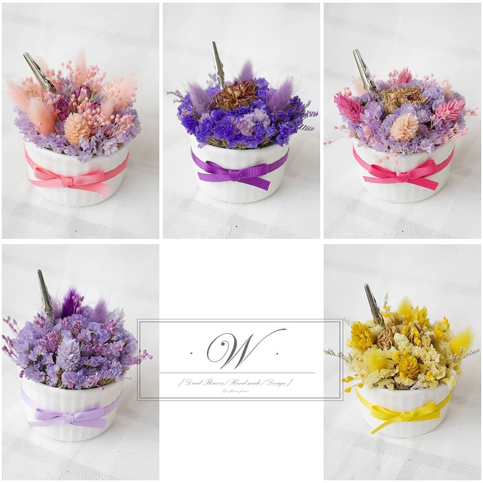 17190781_244448622631785_8452887906411720845_n