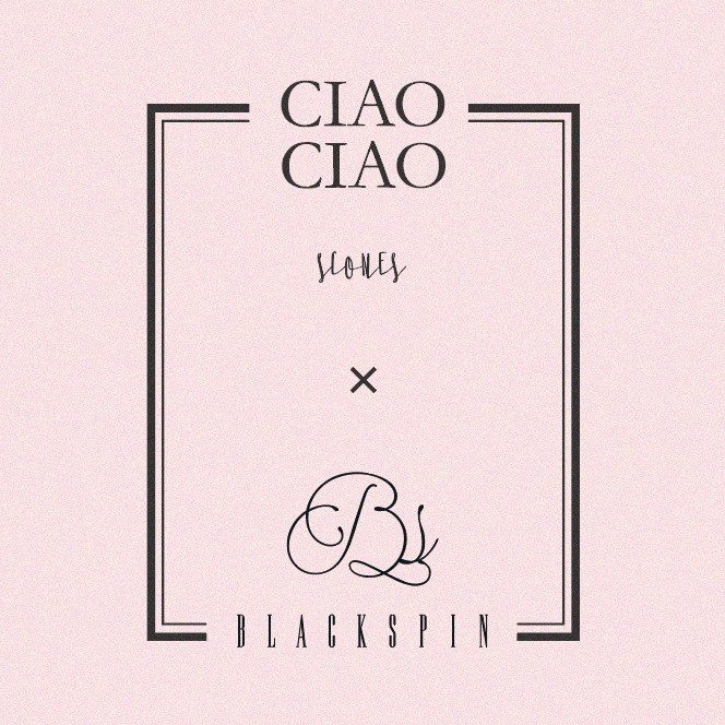 19106066_119084212021659_3837368036147316682_n