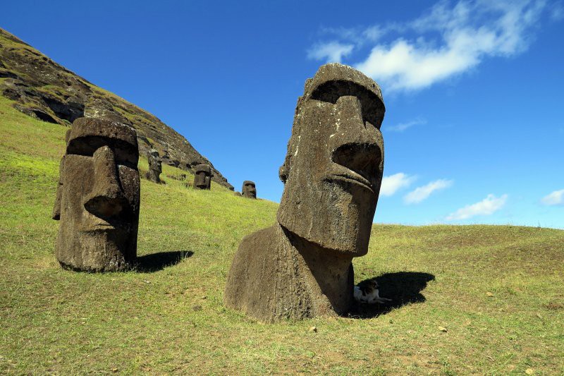 20150703-052154_U2590_M71122_aa60