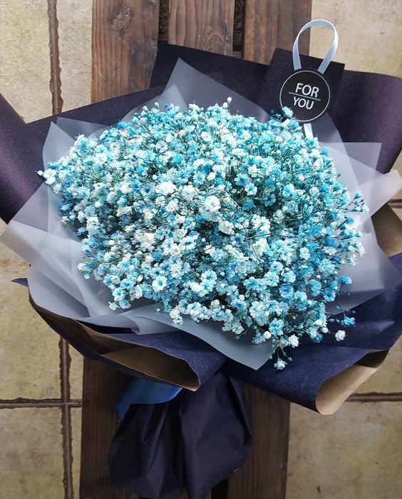 225b6693dd515c51aa890cc1c251e9a2