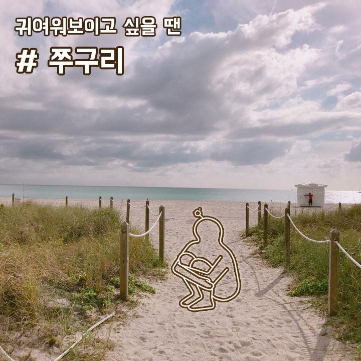 26903877_1997320780542092_5089526691892621819_n