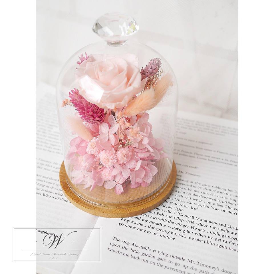 28379037_357846101292036_3634907910478038496_n