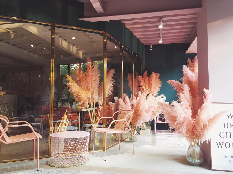 29541546_1863177390383527_3785886166729883648_n