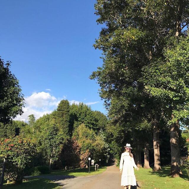 30226688_1654376464657102_1119882935306443279_n