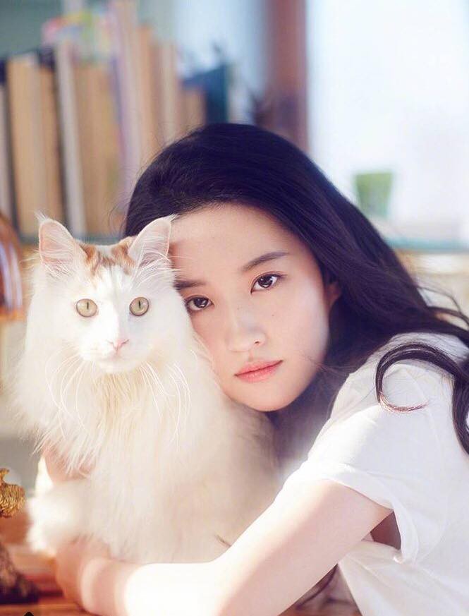 30531162_10155615912217473_2963418891826495488_n