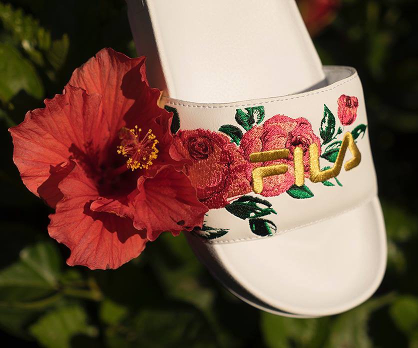 31347623_1654467994630681_1242373849337561088_n