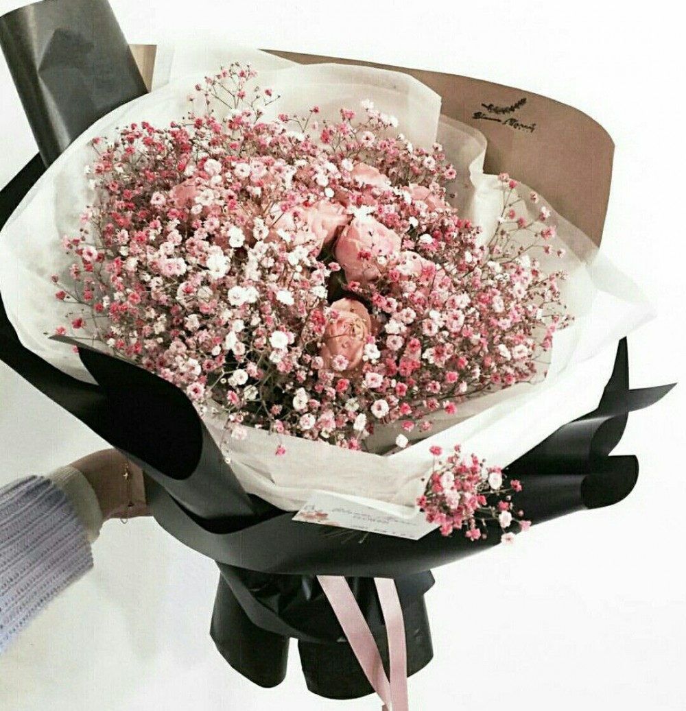 4247ab61906c69bce014a01b7fd8935c