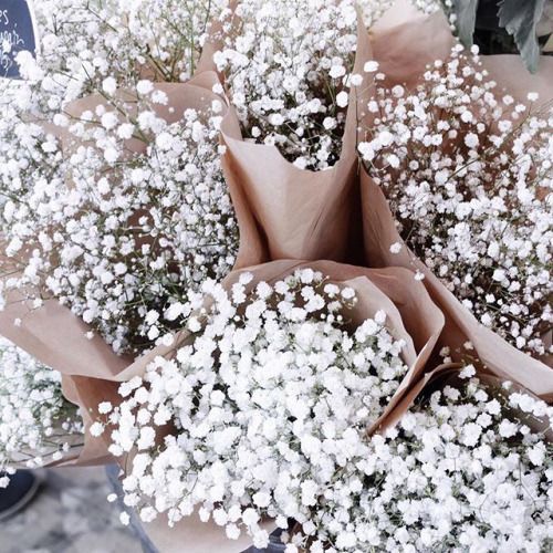 4aa585ac7dfb52fe5bab83f38f6e995e