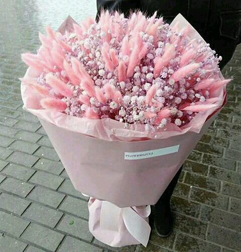 7b2c59959ca213ef096b68a6f5cb03c4