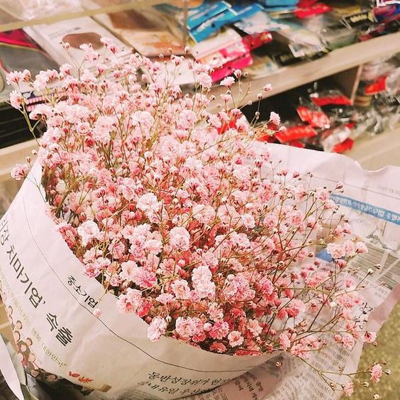 89c2013cf5ed5a7de0fa253d85f29949