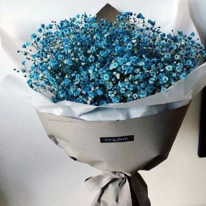 9b2f2dcc229e2cfd30deafebcc877f9f