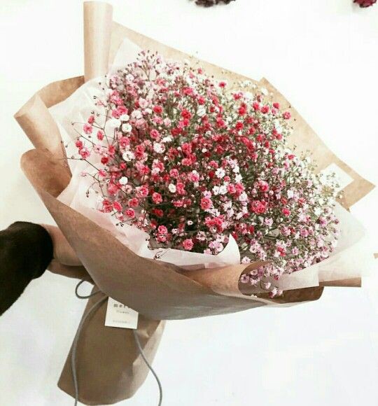 b2666304647125cb324dc64df9bd79a0