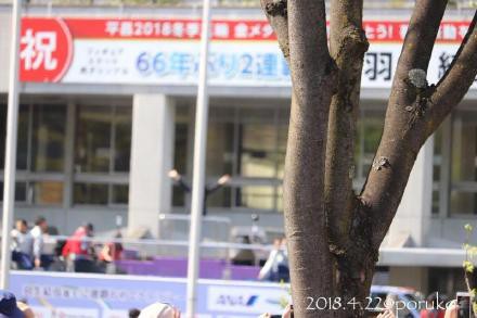 c0788b86ly1fqmjgu6yw4j20m80etmyv