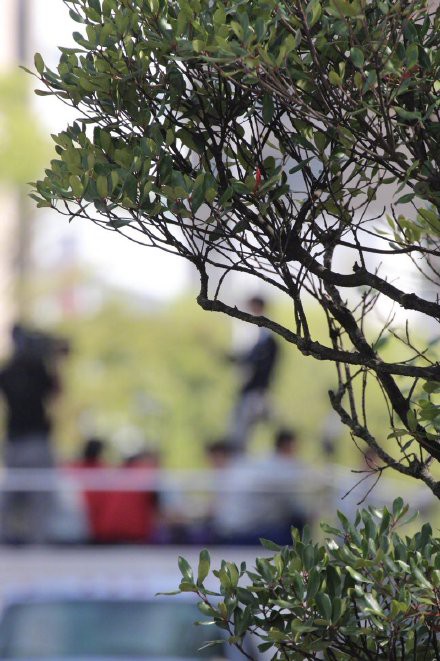 c0788b86ly1fqmjgwfz95j20m70xcjwi